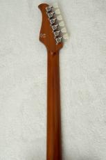 Kz Guitar Works Kz TL Trad Semi-Hollow 22 2H8 Custom w/Brazilian Rosewood -Gold Top-_11