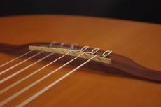 Godin Multiac Nylon Encore_6