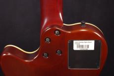 Godin Multiac Nylon Encore_7