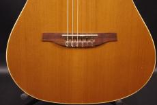 Godin Multiac Nylon Encore_9