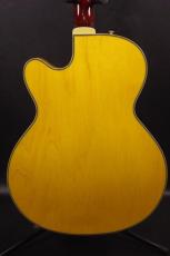 SCHECTER JAZZ ELITE_2