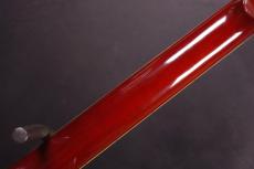 SCHECTER JAZZ ELITE_5