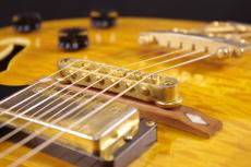 SCHECTER JAZZ ELITE_7