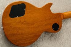 Edwards E-LP-STD -Gold- #ED5120253 【旧定価】_7