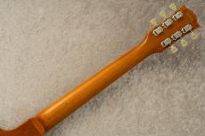 Edwards E-LP-STD -Gold- #ED5120253 【旧定価】_8