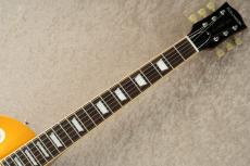 Edwards E-LP-STD/P -Gold- #ED8762243 【旧定価】_4
