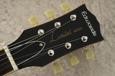 Edwards E-LP-STD/P -Gold- #ED8762243 【旧定価】_5