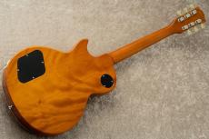 Edwards E-LP-STD/P -Gold- #ED8762243 【旧定価】_6