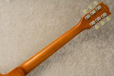 Edwards E-LP-STD/P -Gold- #ED8762243 【旧定価】_8