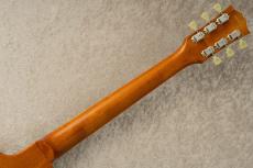 Edwards E-LP-STD/P -Gold- #ED3740253 【旧定価】_8