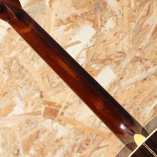 Martin D-28 Rich Robinson 2023_7