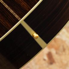 Martin D-28 Rich Robinson 2023_10