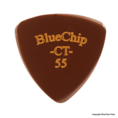 Blue Chip Picks CT55