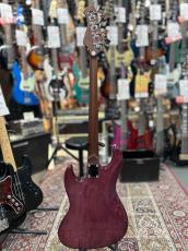 Bacchus WL4-STD/RSM - ST-PPL -_6