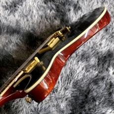 Ibanez AR320-MBM (Midnight Black Metallic) 【特価】【2026 NEWモデル】【SPOTモデル】_9