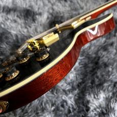 Ibanez AR320-MBM (Midnight Black Metallic) 【特価】【2026 NEWモデル】【SPOTモデル】_10