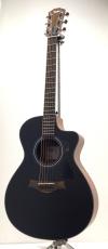 Taylor Japan LTD 112ce  Black Top_2
