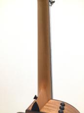 Taylor Japan LTD 112ce  Black Top_7