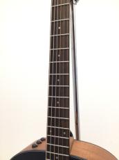 Taylor Japan LTD 117e Blacktop_3