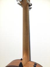 Taylor Japan LTD 117e Blacktop_7