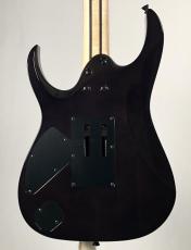 Ibanez 【日本製】【Ibanezの最高峰モデル j.custom】RG8870 -Black Rutile-《即納可》_8