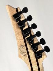 Ibanez 【日本製】【Ibanezの最高峰モデル j.custom】RG8870 -Black Rutile-《即納可》_11
