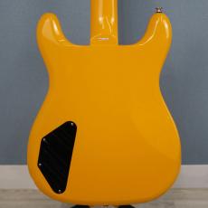 Epiphone Newport Bass California Coral_2