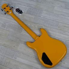 Epiphone Newport Bass California Coral_6