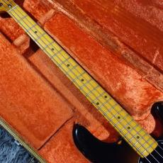 MUSIC MAN Stingray Pre Ernie_4