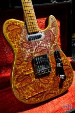 Fender Telecaster "Pink Paisley" / 1968_10