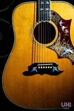 Gibson Doves in Flight / 2006