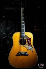 Gibson Doves in Flight / 2006_2