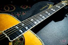 Gibson Doves in Flight / 2006_5