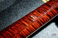 Gibson Doves in Flight / 2006_8