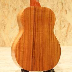 KoAloha KTM-00 Crown Bridge Tenor_2