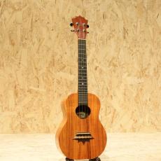 KoAloha KTM-00 Crown Bridge Tenor_3