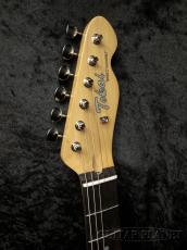 Tokai ATE-101 VWHR_4