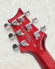 Paul Reed Smith [PRS] SE DGT Standard -Vintage Cherry-【2025年製】【CTI H051467】【3.4kg】_9