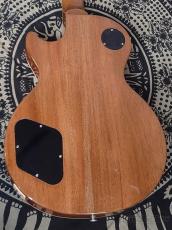 Gibson Les Paul Standard 50s -Gold Top- 【#203460297】【4.44kg】_10