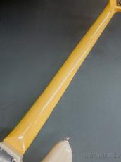 FUJIGEN NJB100MBAH -White Blonde-【4.44kg】_9