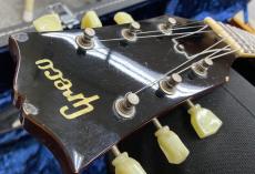 Greco EG1000D_4
