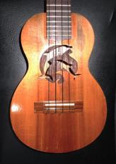 G String dolphin_3