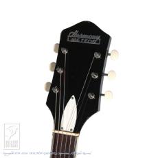 Harmony METEOR H-70_7