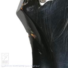 Harmony METEOR H-70_15