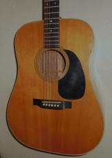 Martin D-28_2