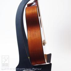 Martin Sting SWB (Sting Signature)_5