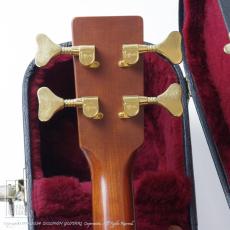 Martin Sting SWB (Sting Signature)_7