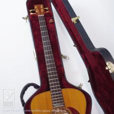 Martin Sting SWB (Sting Signature)_8