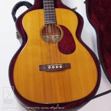 Martin Sting SWB (Sting Signature)_10