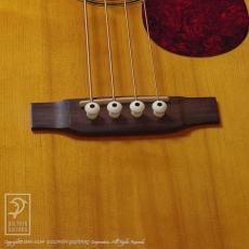 Martin Sting SWB (Sting Signature)_11